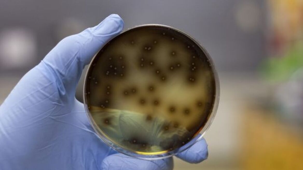 Τέσσερα νέα κρούσματα του E.coli στη Βρετανία