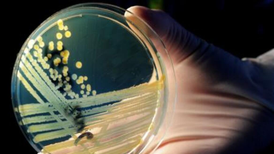 Στους 19 οι νεκροί από το βακτήριο E.coli 