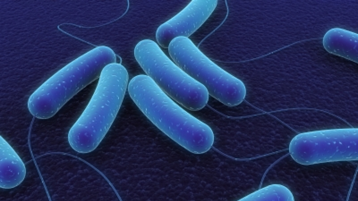 Κρούσματα E.coli και σε Πολωνία, Λουξεμβούργο