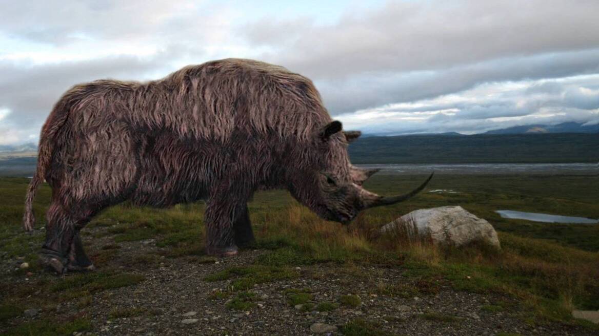 Βρέθηκε ο αρχαιότερος ρινόκερος του κόσμου