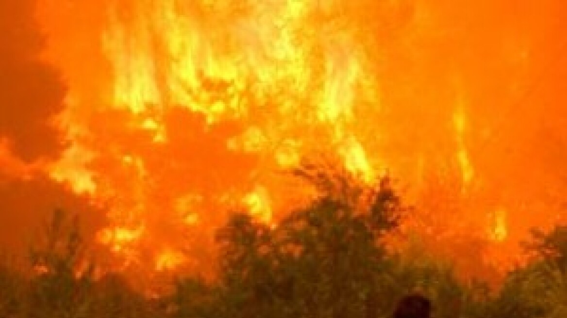 Μπαράζ πυρκαγιών στα Τρίκαλα
