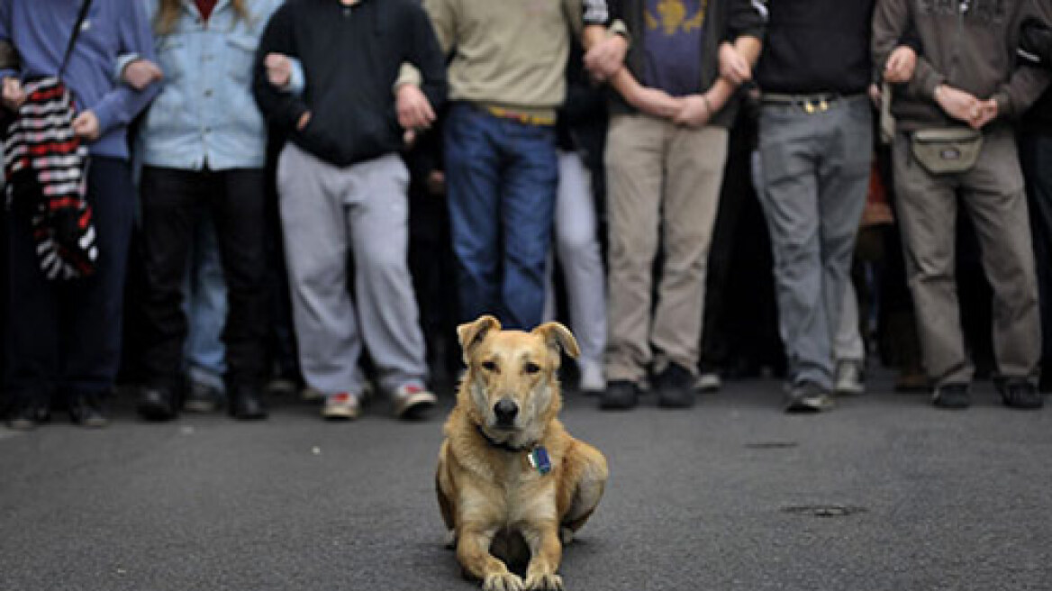 Λουκάνικος: Ο σκύλος της χρονιάς απο το Time