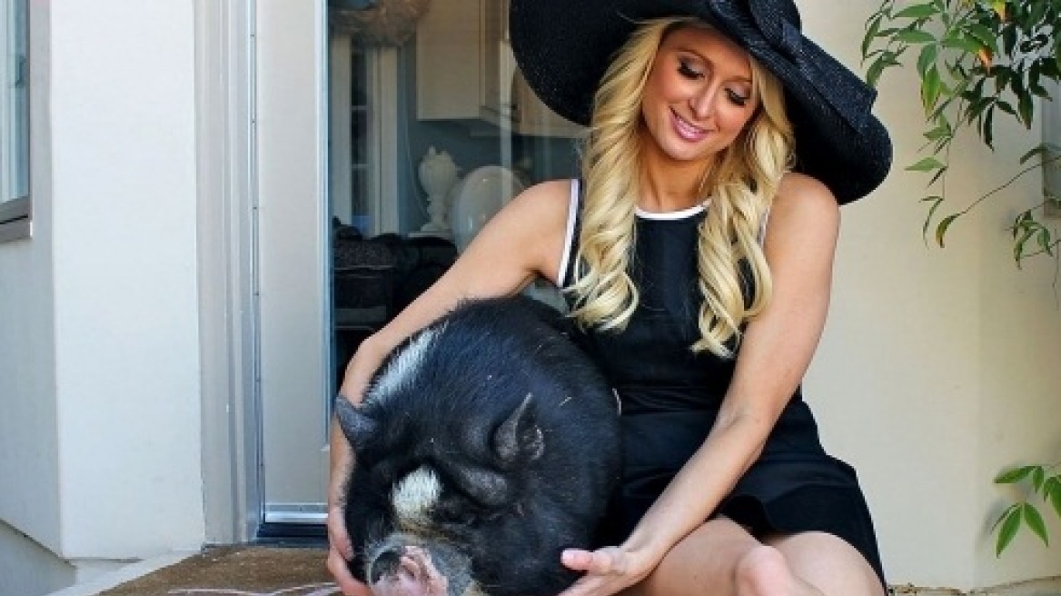 Paris Hilton: Φωτογράφηση με τα pets της 