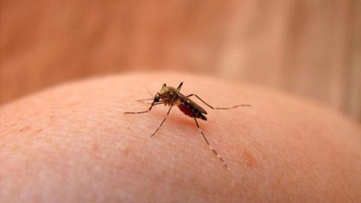 Σε ποιες περιοχές της Αττικής «χτυπούν» τα μολυσμένα κουνούπια