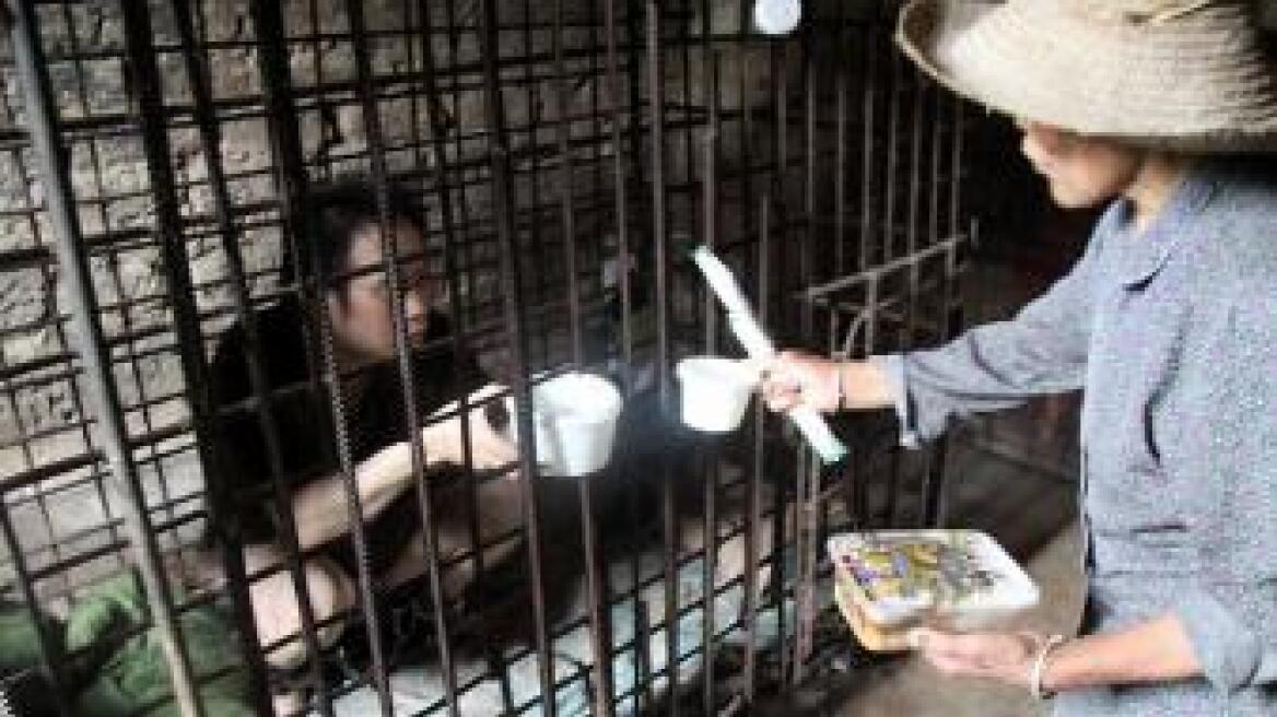 Σοκ στην Κίνα: Κρατούσαν ψυχασθενή φυλακισμένο σε κλουβί επί 11 χρόνια!