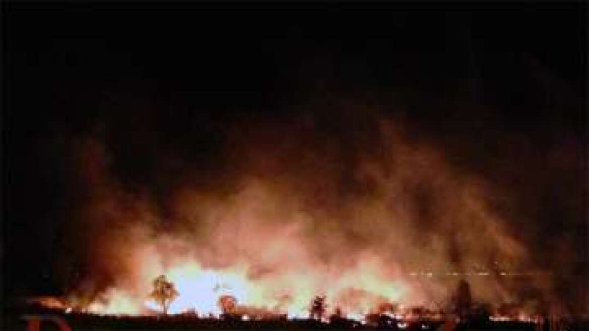 Πυρκαγιά πίσω από το κολλέγιο Καλαμαρί στην Πυλαία 