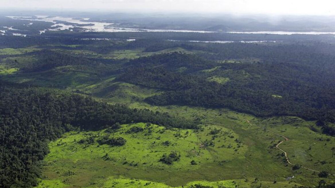 Βραζιλία: Επιταχύνεται η αποψίλωση του Αμαζονίου 