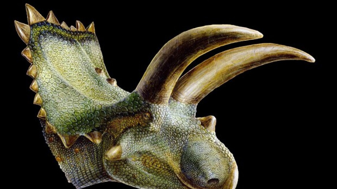 Επιστήμονες ανακάλυψαν νέο είδος δεινοσαύρου στις ΗΠΑ