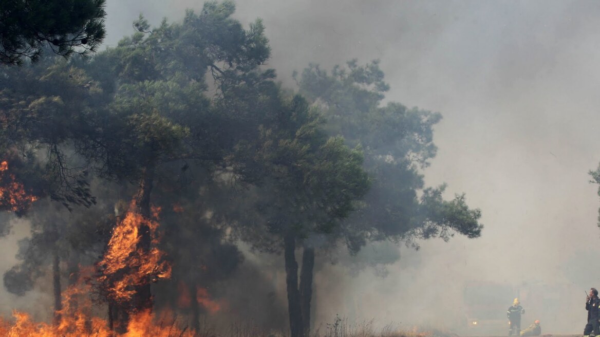 Εύβοια: Στο πόδι ένα ολόκληρο χωριό - Φωτιά απειλεί σπίτια 