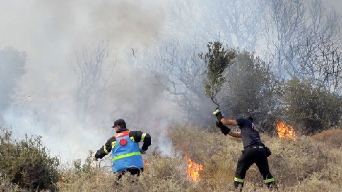 Γούβες Ηρακλείου: Τεράστια καταστροφή από την πυρκαγιά στο πεδίο βολής 