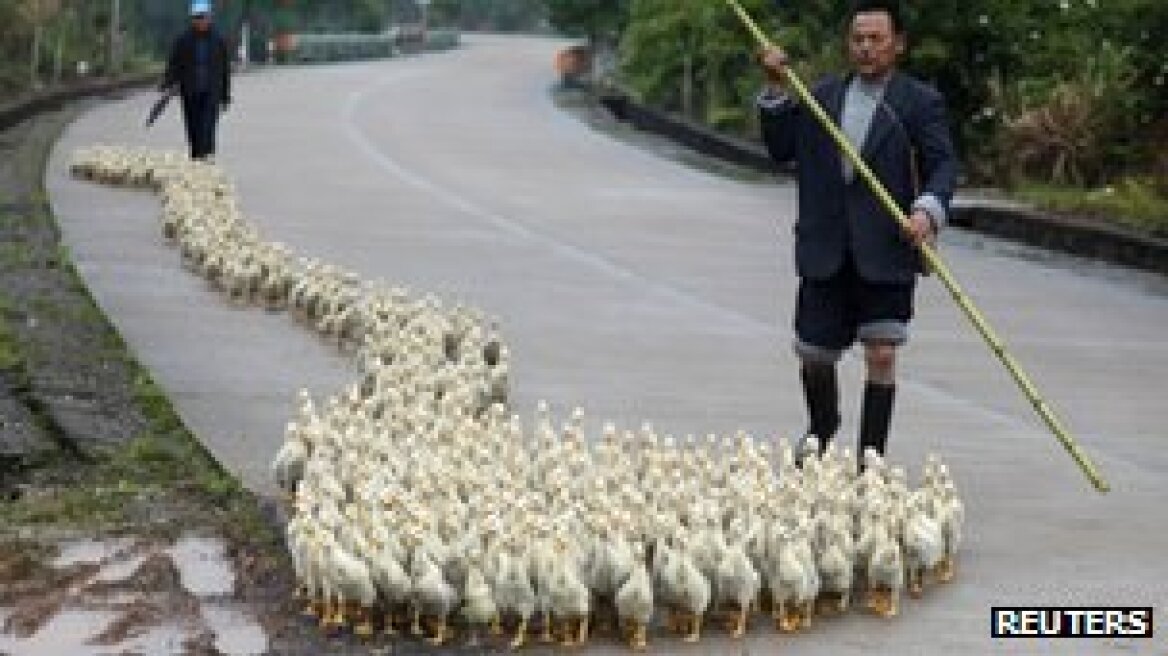 Κίνα: Η γρίπη των πτηνών μεταδόθηκε από άνθρωπο σε άνθρωπο