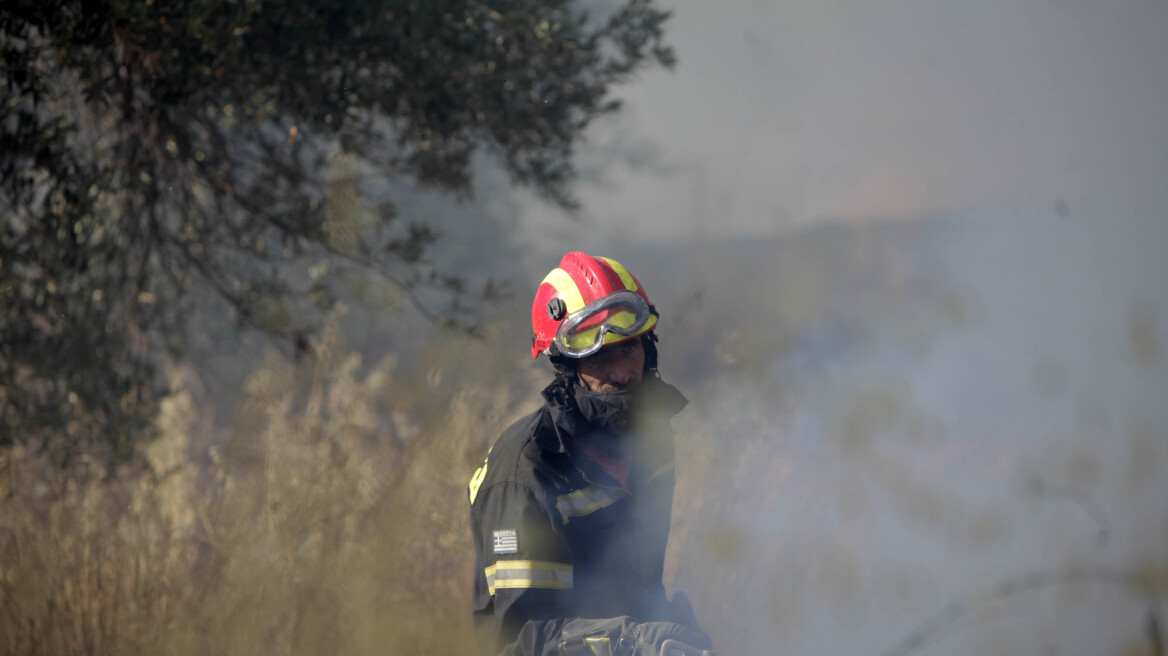Από πρόθεση οι μισές πυρκαγιές – Συλλήψεις-ρεκόρ φέτος από την Πυροσβεστική