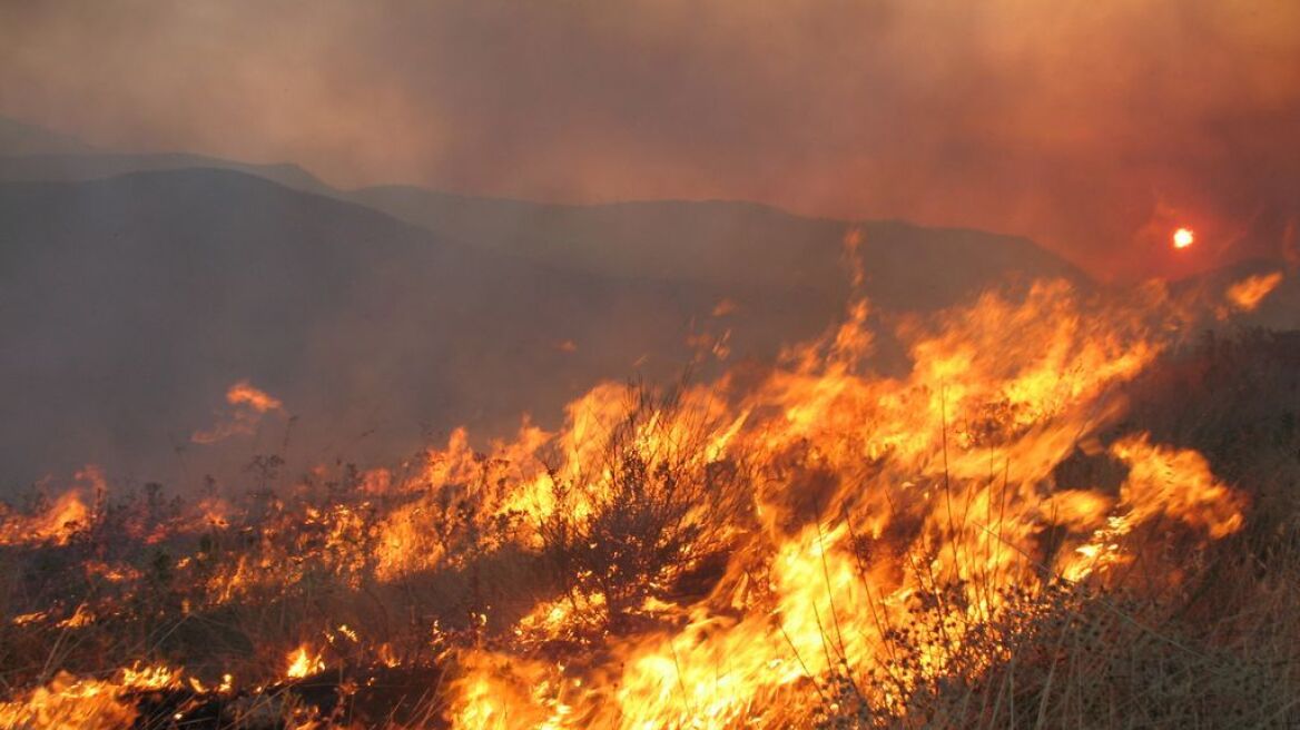 Προς κατοικημένες περιοχές κατευθύνεται η φωτιά στην Ερμιόνη