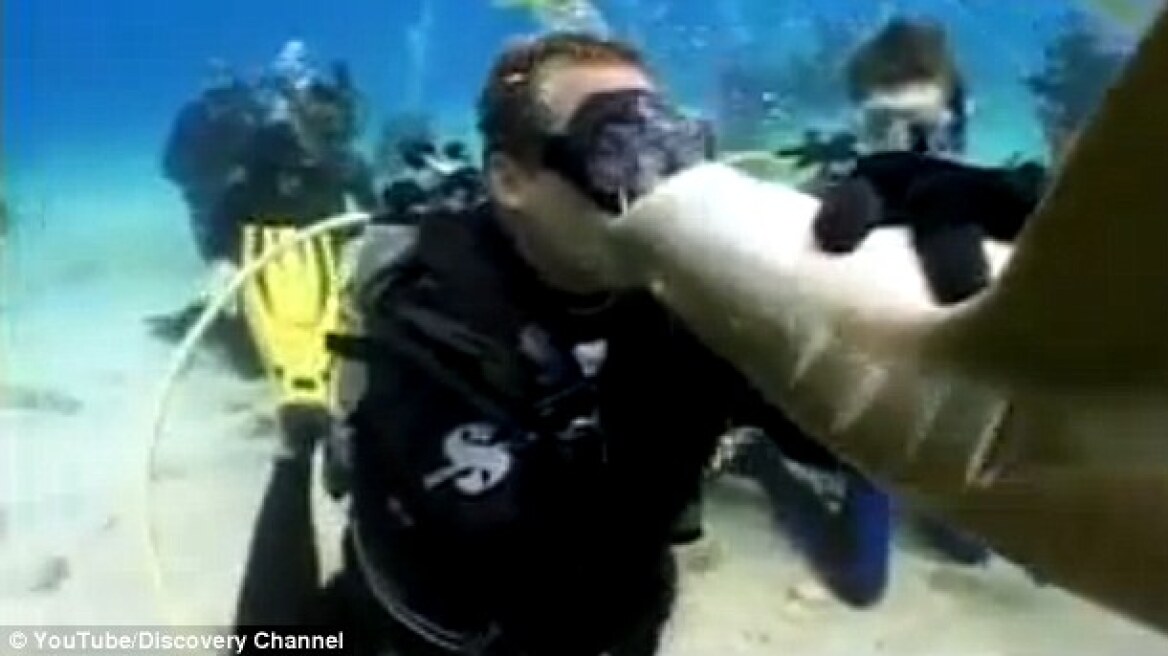 Έκανε 287 ράμματα γιατί φίλησε... καρχαρία!