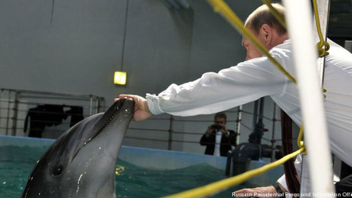 Ο Πούτιν χαϊδεύει δελφίνια και θαλάσσιους ελέφαντες λίγο πριν τη G20