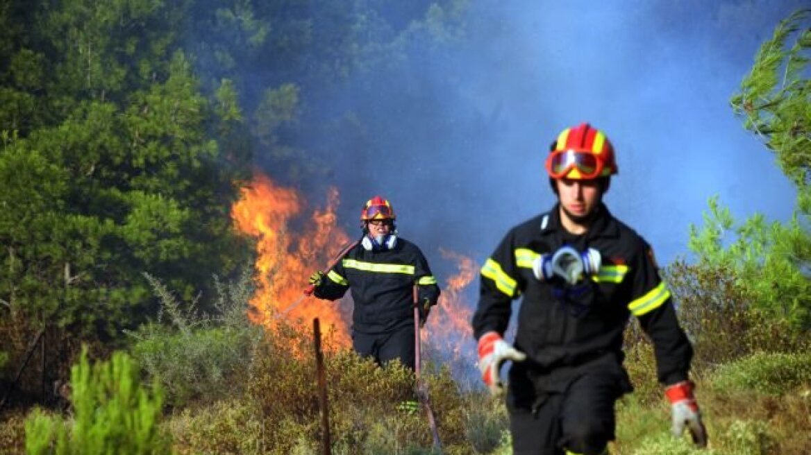 Θεσσαλονίκη: Πυρκαγιά στο Ωραιόκαστρο