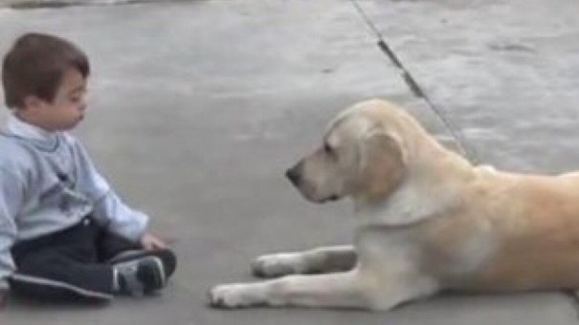Δείτε συγκινητικό βίντεο με σκύλο που προσπαθεί να προσεγγίσει αγοράκι με σύνδρομο Ντάουν