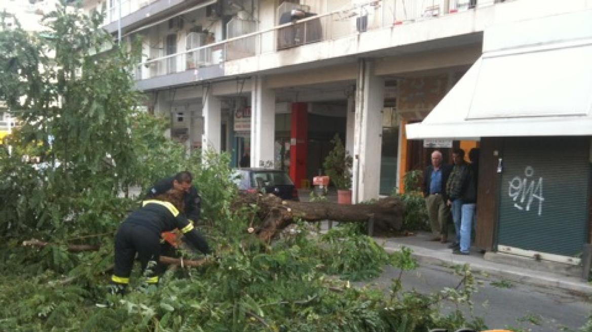  Πτώσεις δέντρων στη Θεσσαλονίκη λόγω ισχυρών ανέμων (φωτογραφίες)