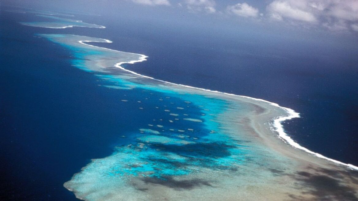 «Τσουνάμι» από αστερίες απειλεί τον Μεγάλο Κοραλλιογενή Ύφαλο στην Αυστραλία 