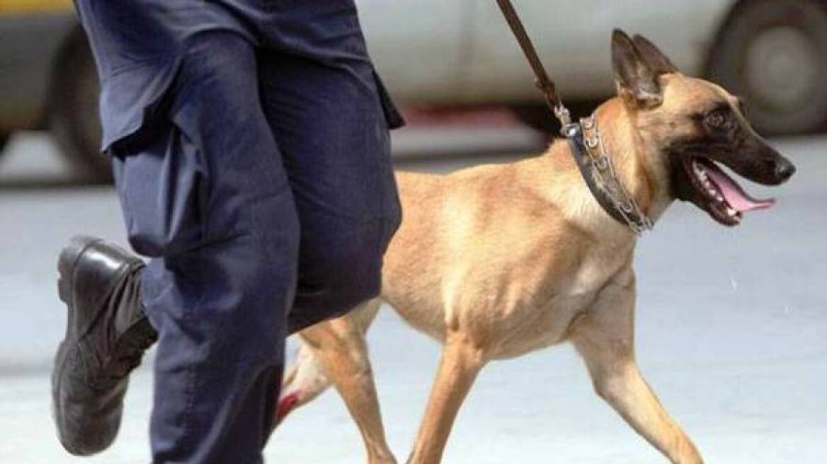 Ξάνθη: Αστυνομικός-σκύλος «ξετρύπωσε» ένα κιλό χασίς