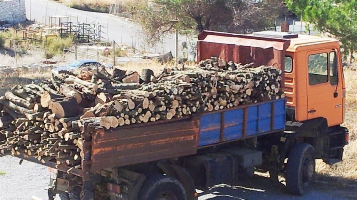 Ρέθυμνο: Λαθρουλοτόμοι πρόλαβαν να κόψουν επτά τόνους ξύλα πριν συλληφθούν