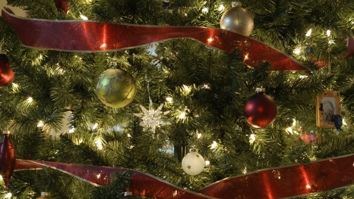 Θεσσαλονίκη: Τα χαμόγελα παιδιών με σύνδρομο Down στολίζουν το χριστουγεννιάτικο δέντρο
