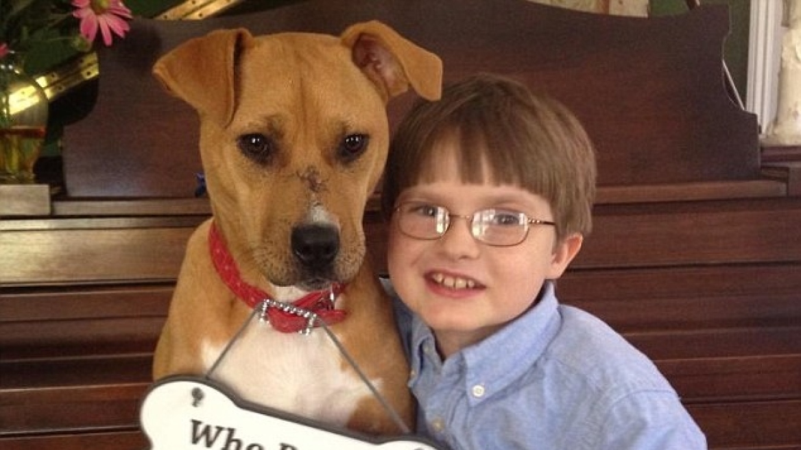 Πώς ένα κακοποιημένο κουτάβι βοήθησε 8χρονο αγοράκι με αυτισμό! 