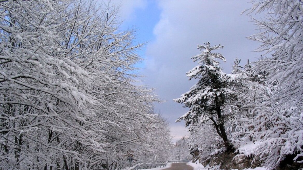 Χιονίζει στην Πελοπόννησο - Αποκλεισμένο χωριό στην Κυνουρία