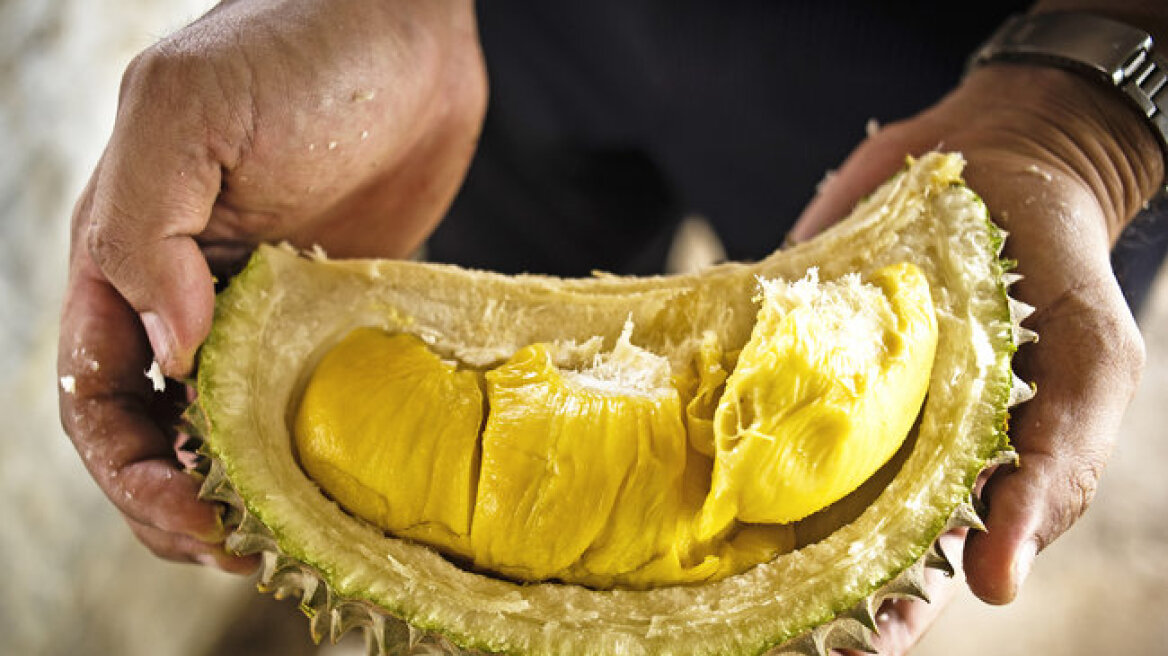 Durian: Το εξωτικό φρούτο που μυρίζει σαν «πτώμα» 