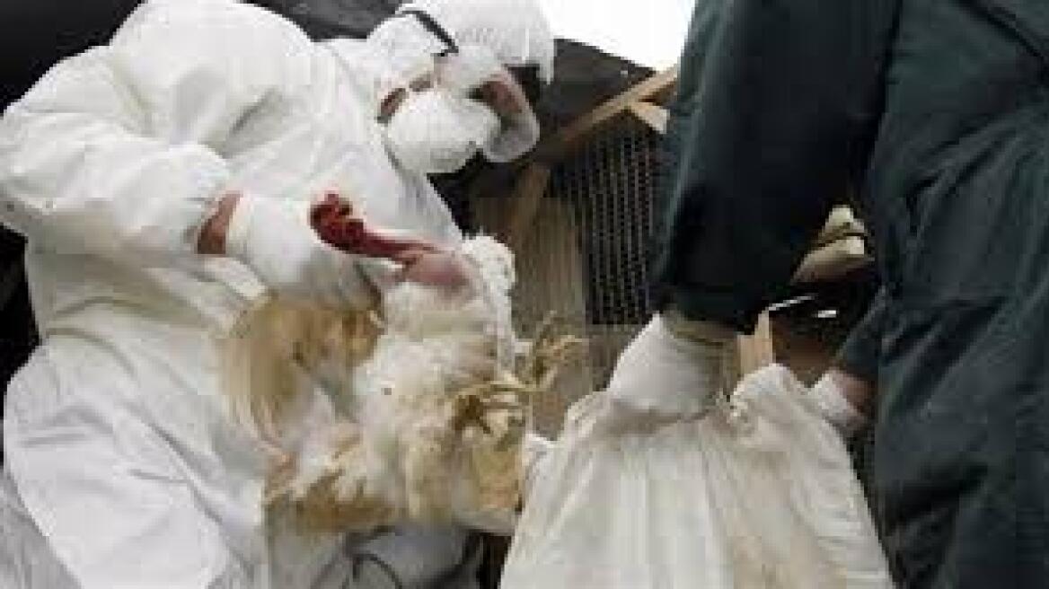 Χονγκ Κονγκ: Άντρας απεβίωσε από τον ιό της γρίπης των πτηνών