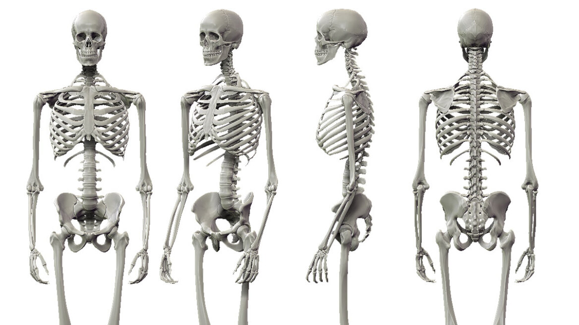 Ο ρόλος της άσκησης στην ανάπτυξη του σκελετού 