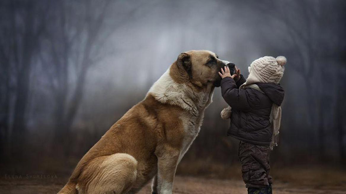Εκπληκτικές Φωτογραφίες: Η τρυφερή σχέση των παιδιών με τα ζώα! 