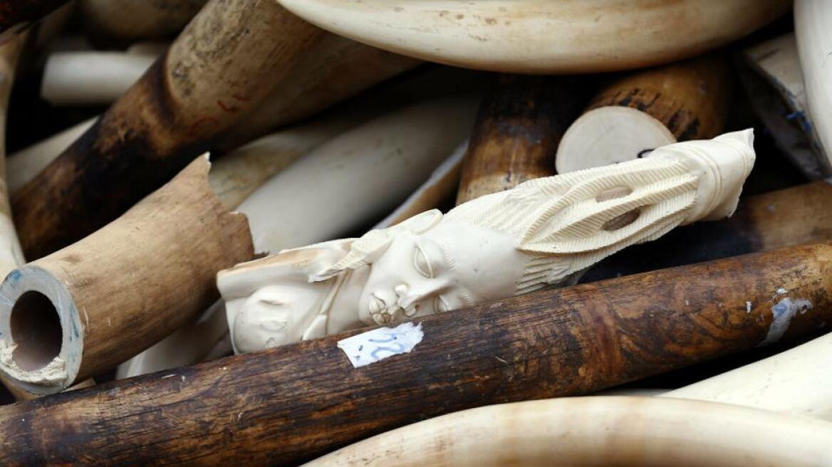 Νέα απαγόρευση σχετικά με τις πωλήσεις ελεφαντόδοντου στις ΗΠΑ