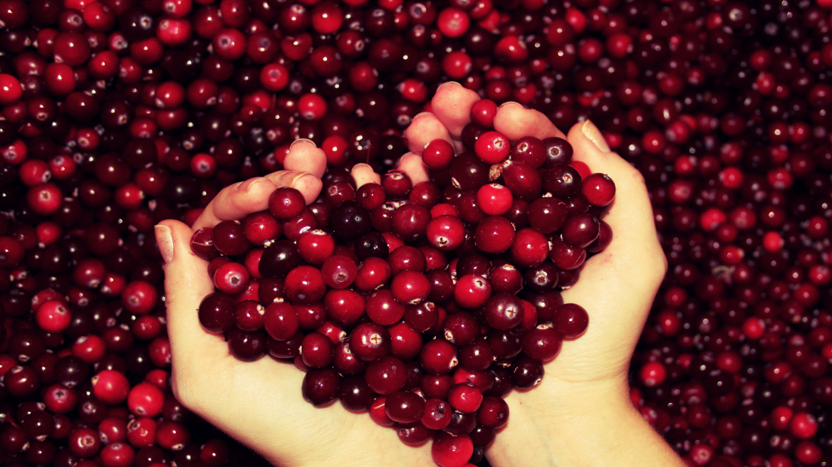 Είναι το cranberry το ελιξίριο της ομορφιάς;