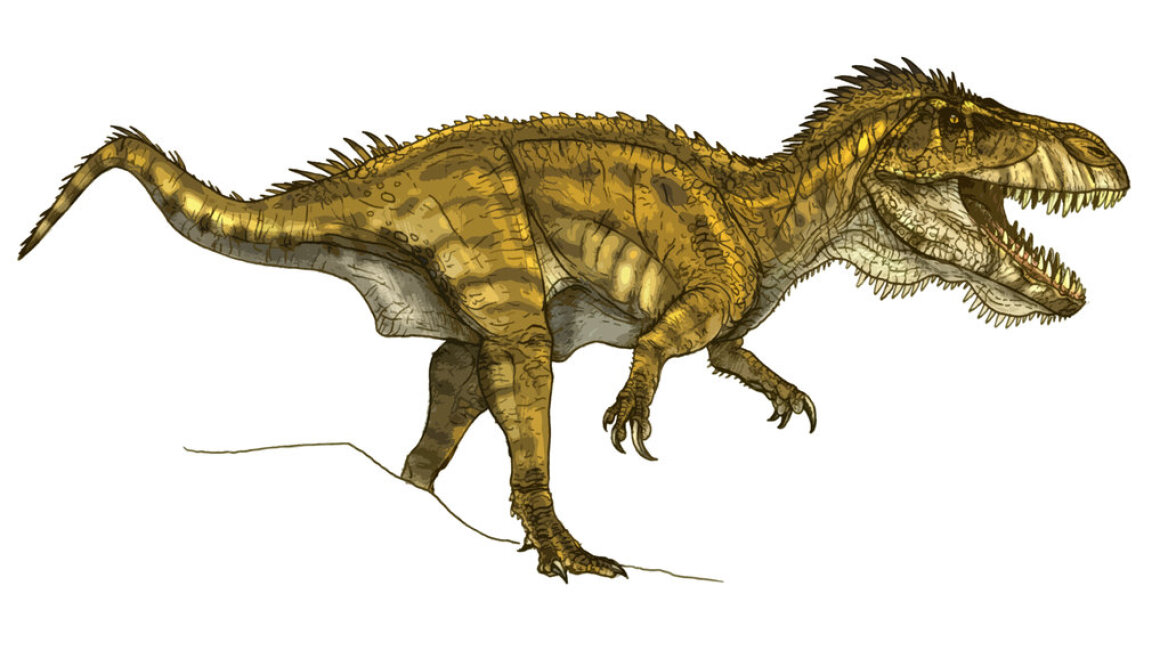 Ανακαλύφθηκαν απολιθώματα του δεινόσαυρου- «μάστιγα» της Ευρώπης