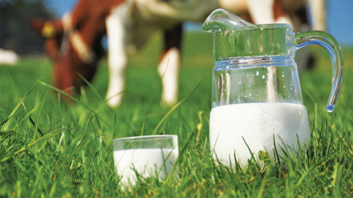 Υπουργείο Ανάπτυξης: Μικρές οι δυνατότητες αλλαγών στο σχέδιο νόμου για το γάλα 
