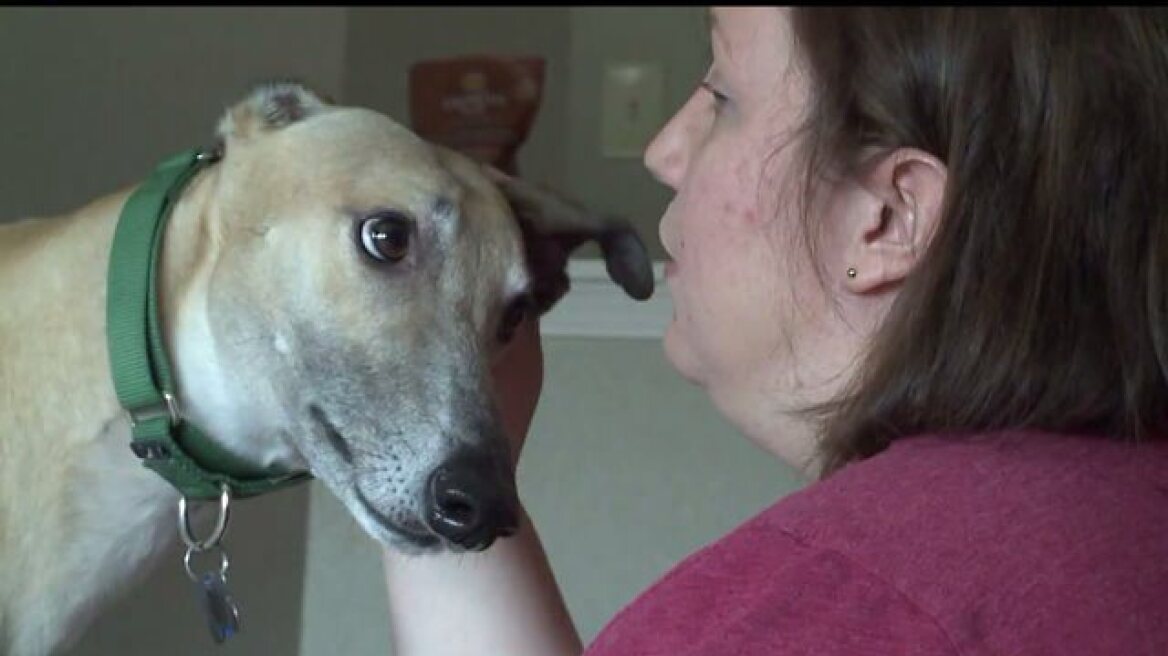 ΗΠΑ: Σκύλος έσωσε την αφεντικίνα του από διαρροή αερίου