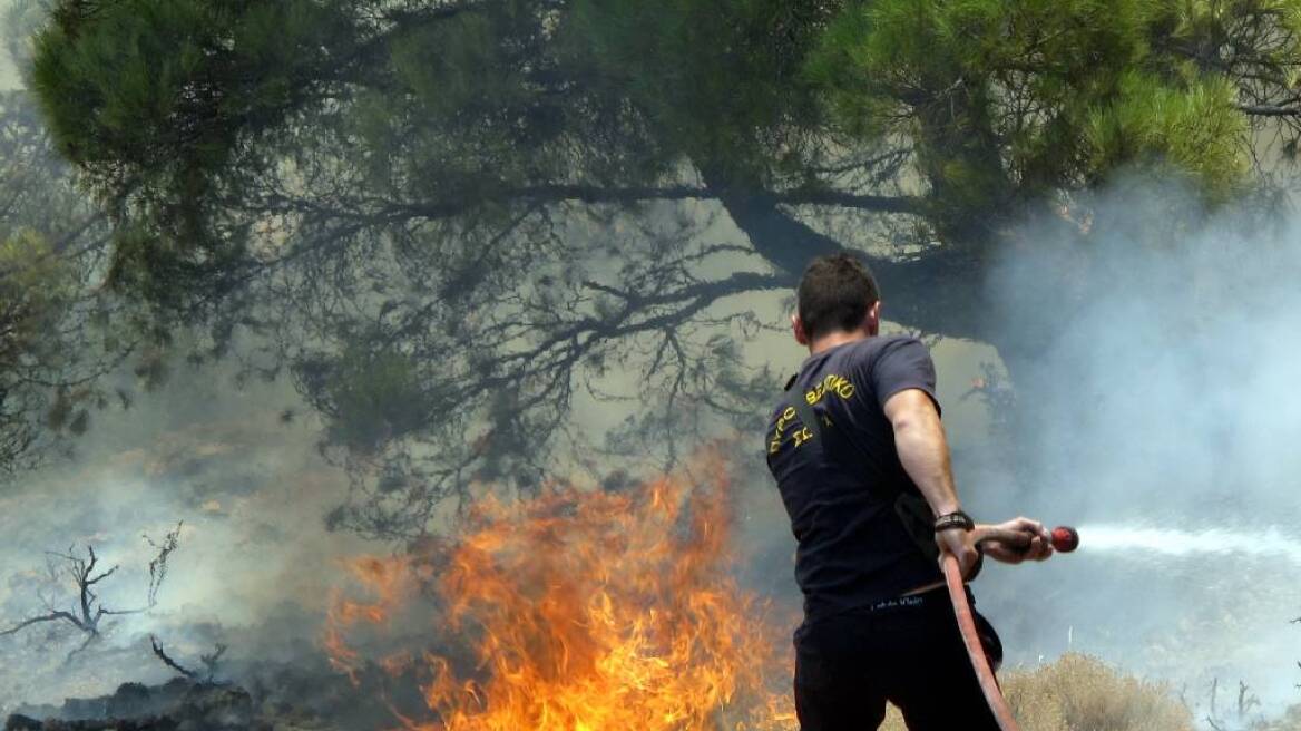 Θεσσαλονίκη: Δύσκολο εκτιμάται ότι θα είναι το καλοκαίρι για τις δασικές πυρκαγιές
