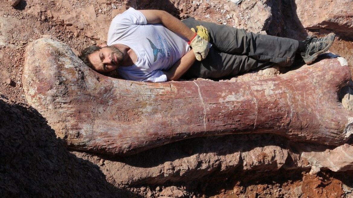 Ανακαλύφθηκε ο μεγαλύτερος δεινόσαυρος που έζησε στη Γη