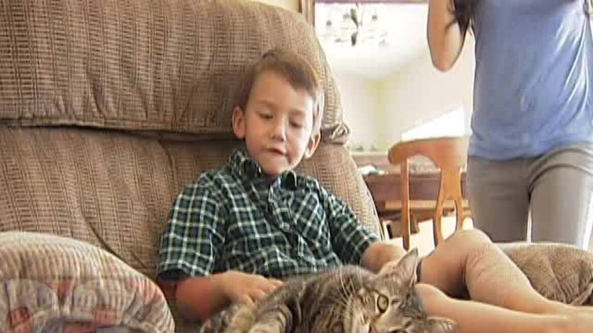 Βίντεο: Τιμήθηκε η ηρωική γάτα που έσωσε αγόρι από τα δόντια σκύλου
