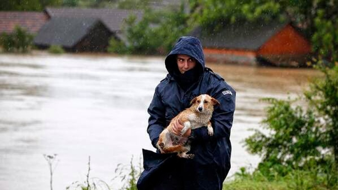 Σερβία: Βοηθούν τα ζώα να επιζήσουν στις πληγείσες από πλημμύρες περιοχές