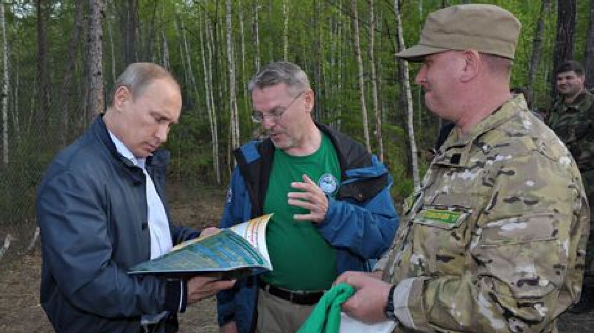 Δείτε τον Πούτιν να ελευθερώνει στη φύση τίγρεις της Σιβηρίας