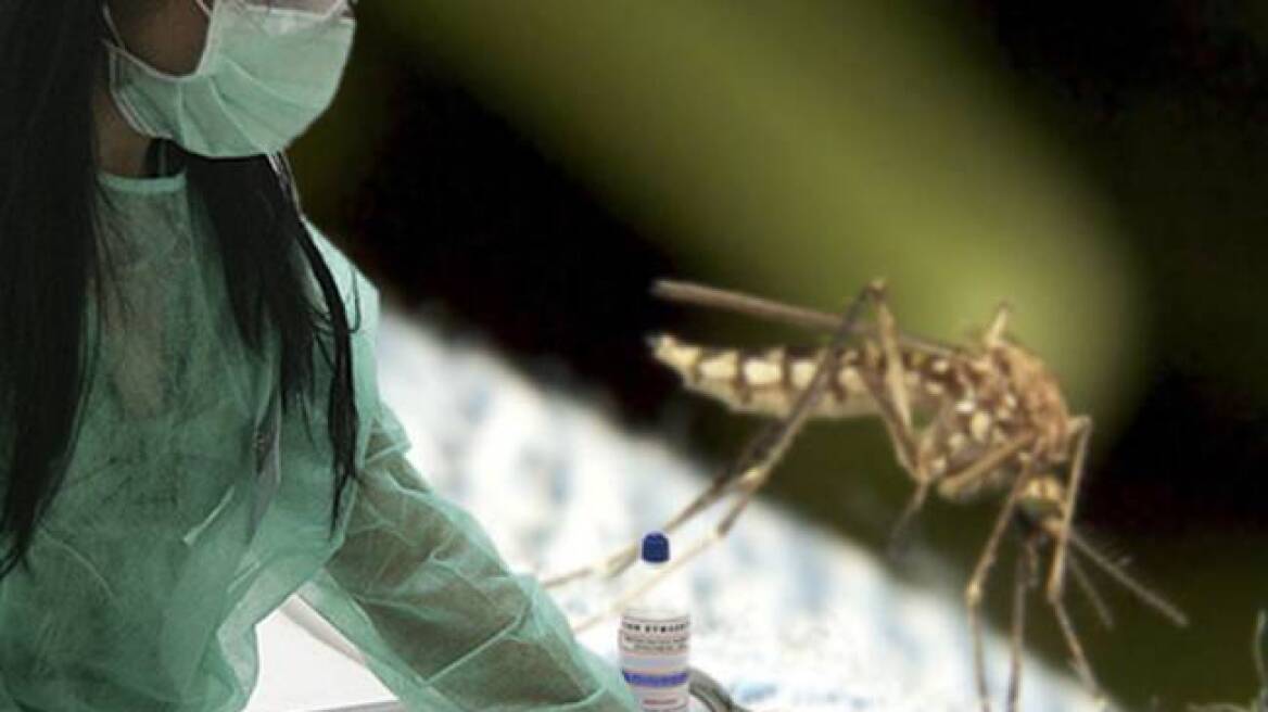 Συναγερμός σε εννιά περιοχές για τον ιό του Δυτικού Νείλου