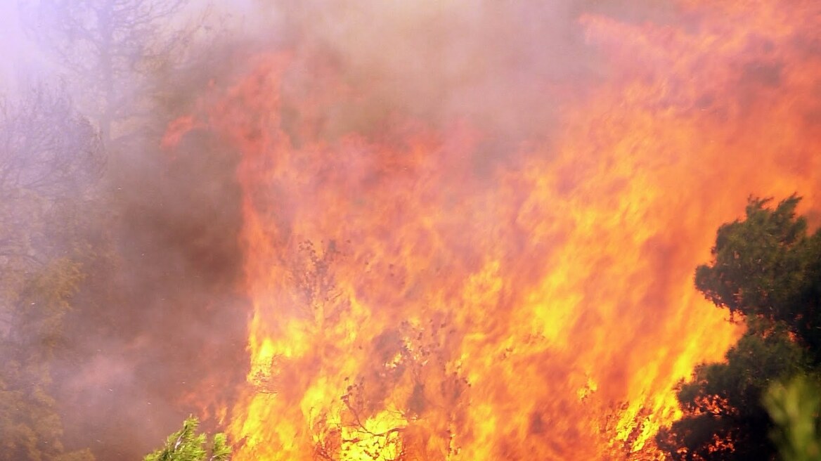 Καίει ακόμα η πυρκαγιά στην Πύλο - Υπό έλεγχο η φωτιά στη Βοιωτία