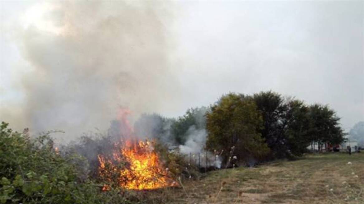 Πυρκαγιά σε δύσβατη περιοχή κοντά στα Φάρσαλα 
