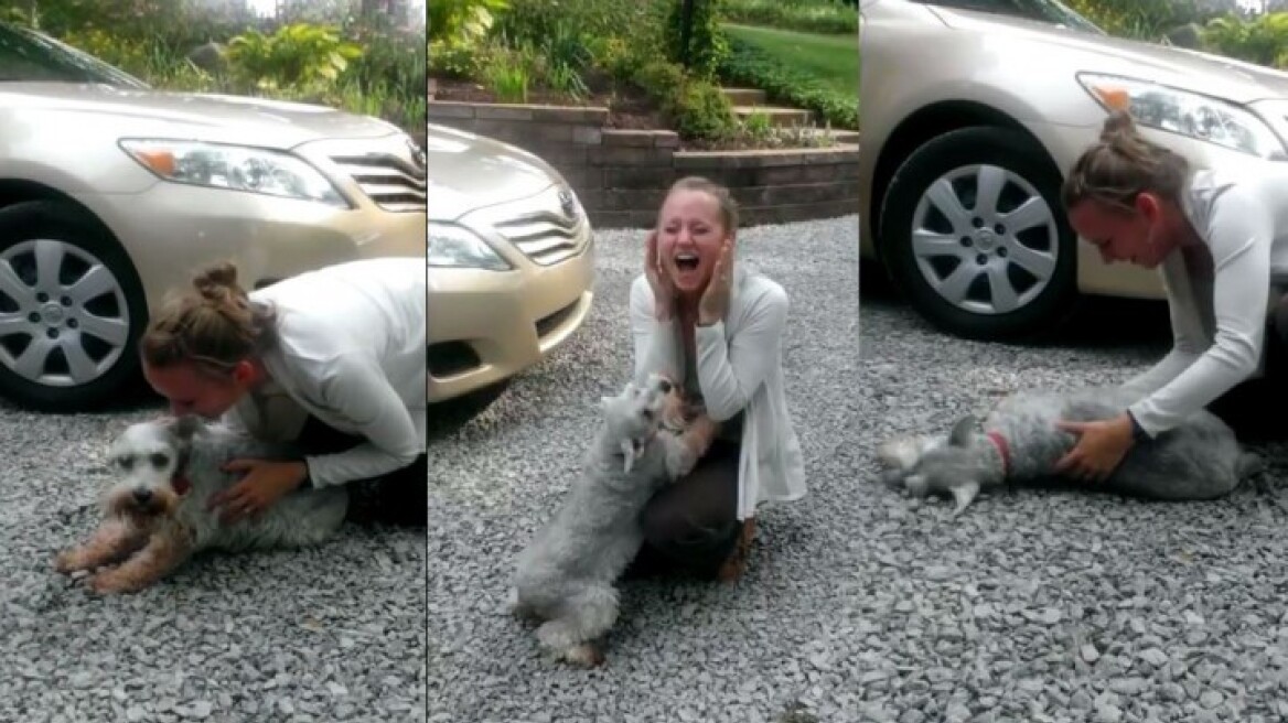 Βίντεο: Σκύλος λιποθύμησε από τη χαρά του ξαναβλέποντας το αφεντικό του!