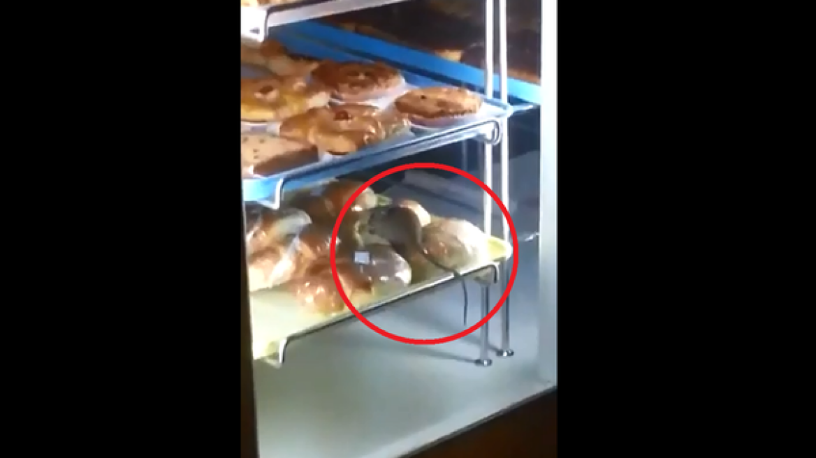 Σαουδική Αραβία: Ποντίκι... αλωνίζει σε βιτρίνα φούρνου (βίντεο)