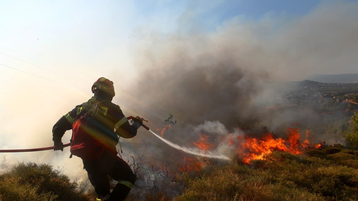 Φωτιά καίει χαμηλή βλάστηση στη Λιβαδειά