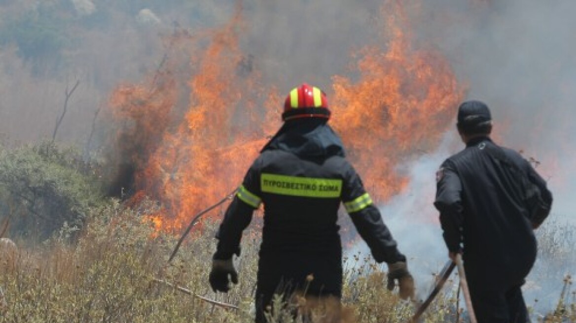Τα μέτωπα σε Αρεόπολη και Βόλο προβληματίζουν την πυροσβεστική