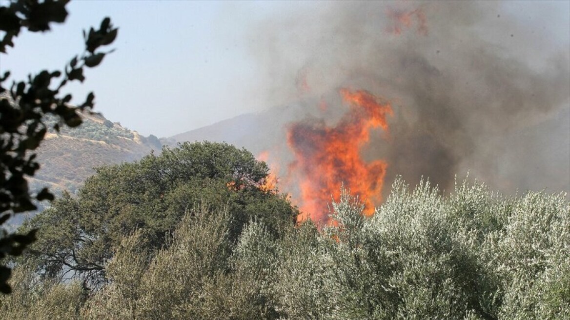 Πυρκαγιά στο Ηράκλειο Κρήτης 